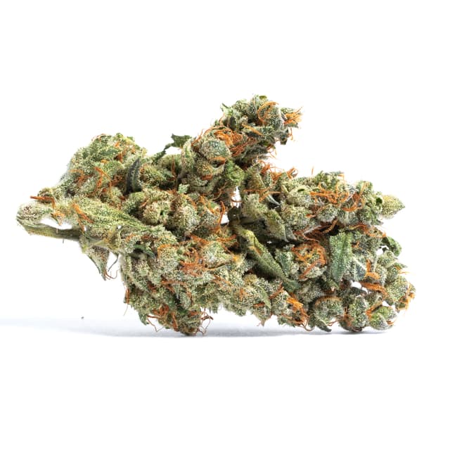 Blueberry Cookies (Hybrid) cannabis strain