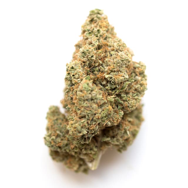 Alien Walker (Hybrid) cannabis strain
