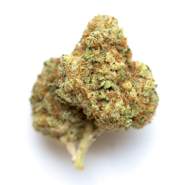 Allen Wrench (Sativa) cannabis strain