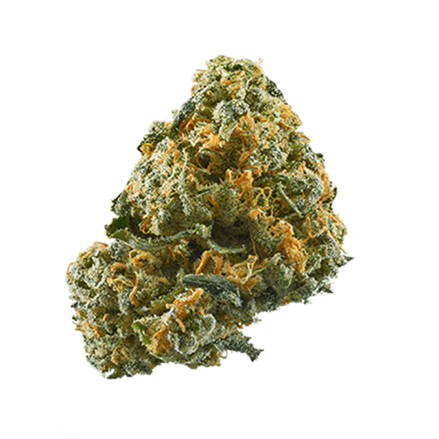 Cheese (Hybrid) cannabis strain