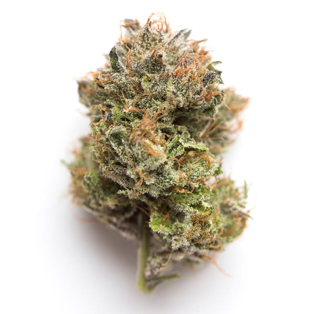 Frankenstein (Indica) cannabis strain