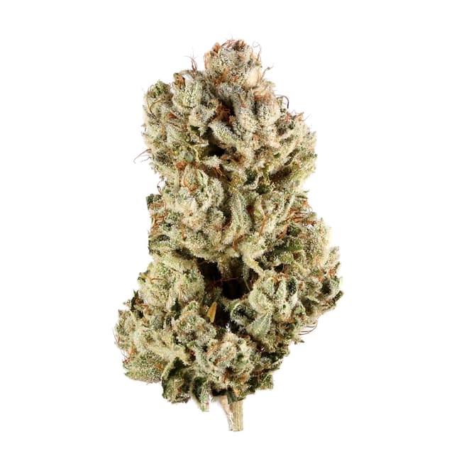 GG4 (Hybrid) cannabis strain