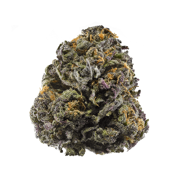 Granddaddy Purple (Indica) cannabis strain
