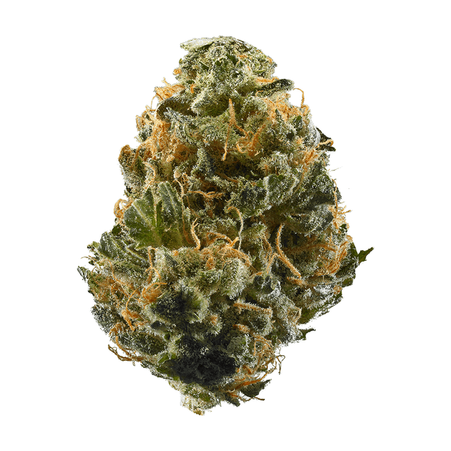 Haze (Sativa) cannabis strain