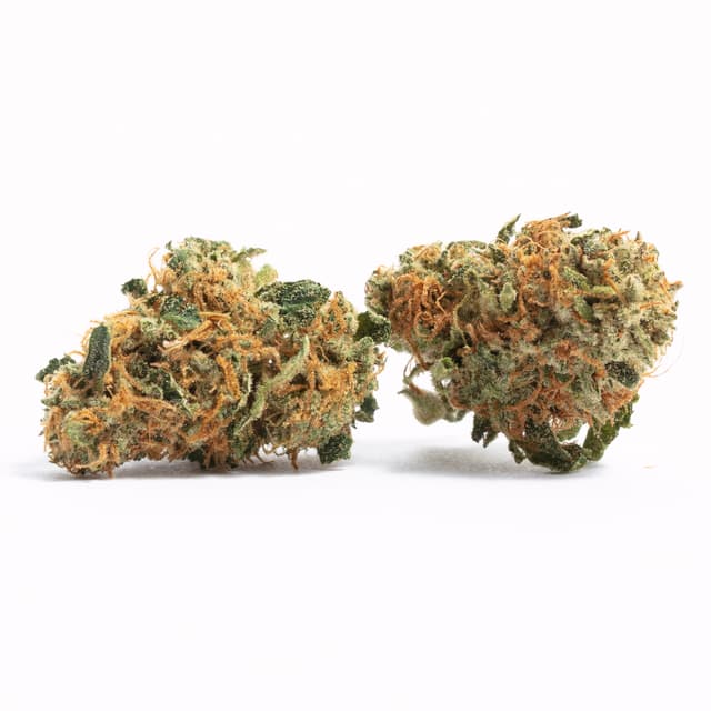 Liberty Haze (Hybrid) cannabis strain