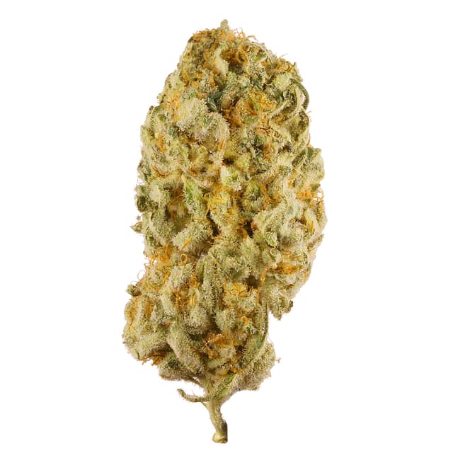 Jack Herer (Sativa) cannabis strain
