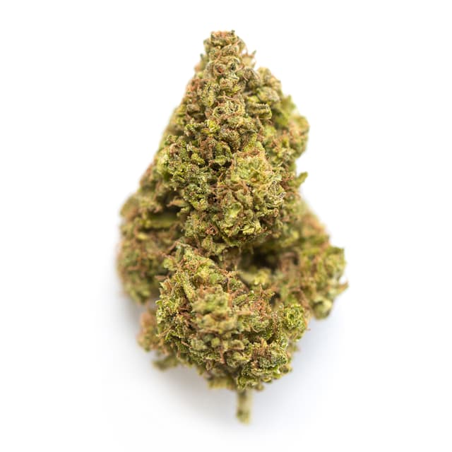 Jager (Indica) cannabis strain