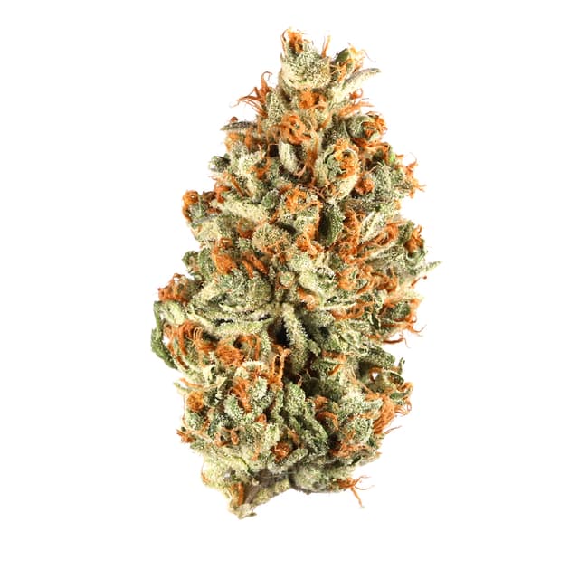 Kosher Tangie (Hybrid) cannabis strain