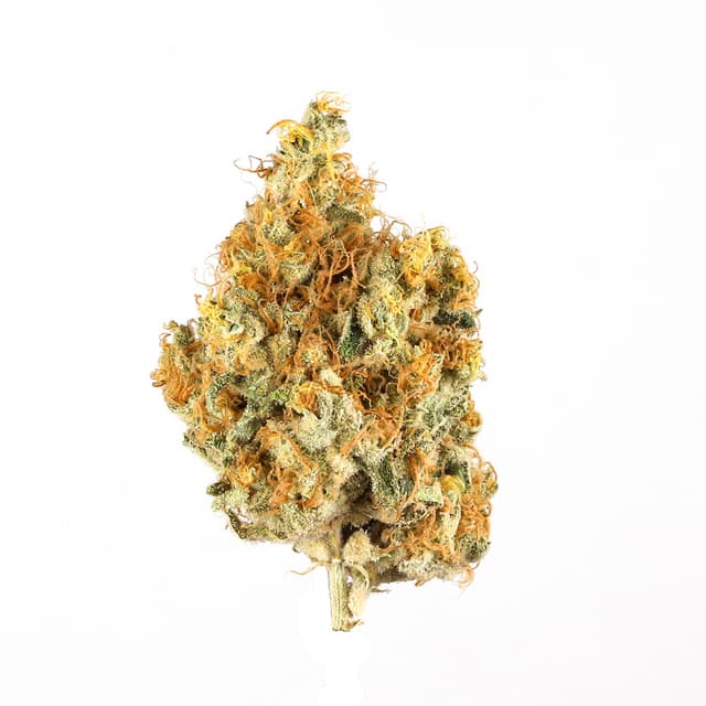 Lemon Cake (Sativa) cannabis strain