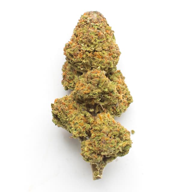 Monkey Thunder (Hybrid) cannabis strain