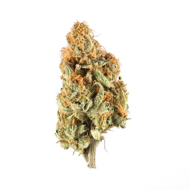 Orange Creamsicle (Hybrid) cannabis strain