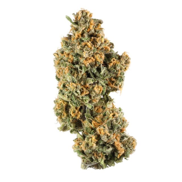 Pink Champagne (Indica) cannabis strain