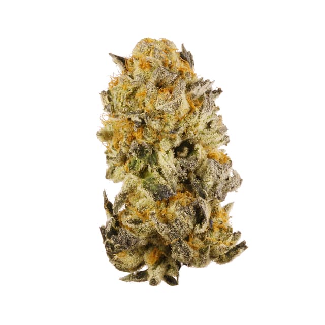 Platinum Cookies (Hybrid) cannabis strain