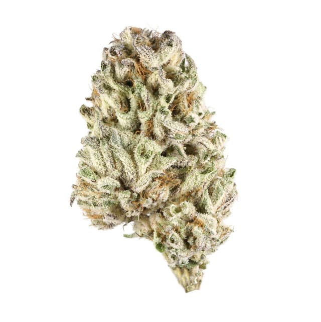 Raspberry Kush (Indica) cannabis strain