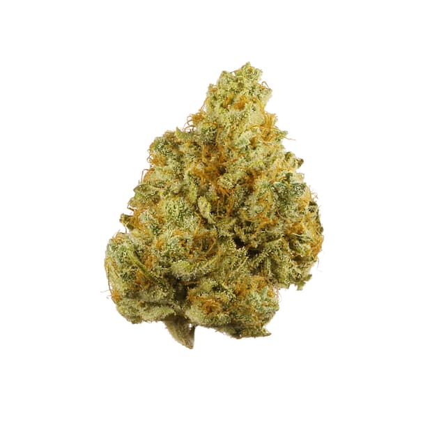Sour Tangie (Sativa) cannabis strain