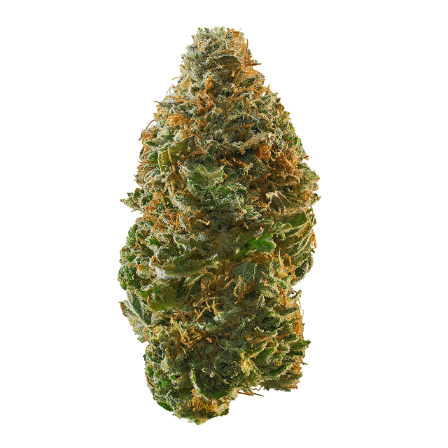 Trainwreck (Hybrid) cannabis strain