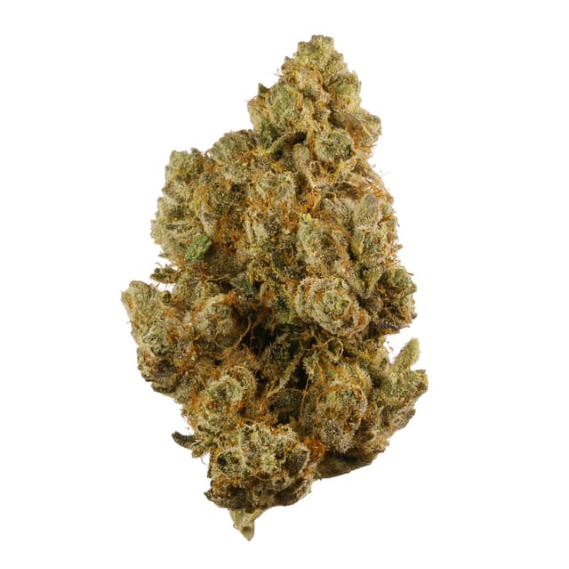 True OG (Indica) cannabis strain
