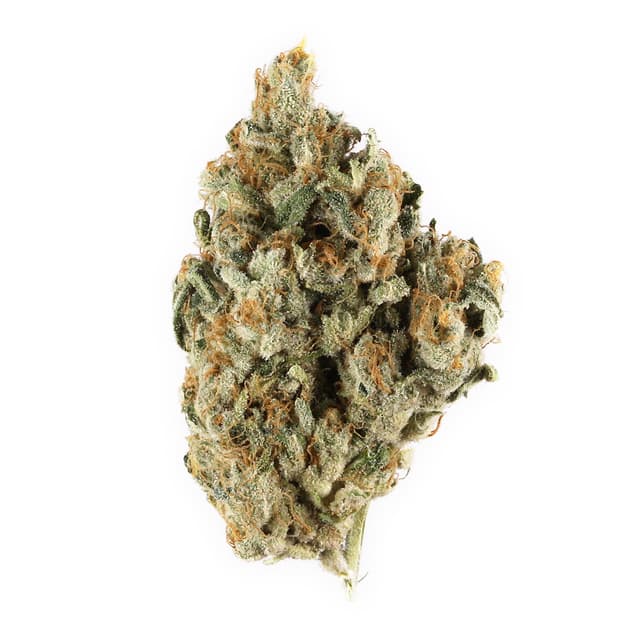 Very Berry Haze (Sativa) cannabis strain