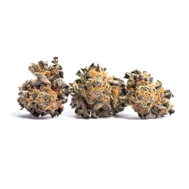 Animal Cookies (Hybrid) cannabis strain