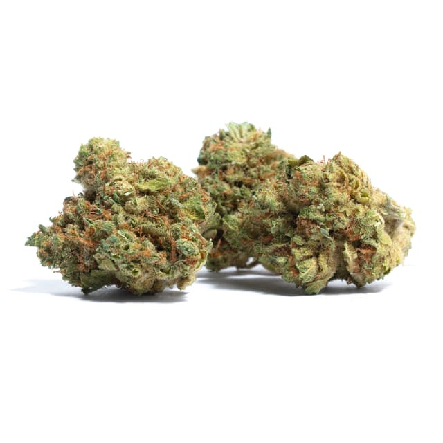 Mango Haze (Sativa) cannabis strain